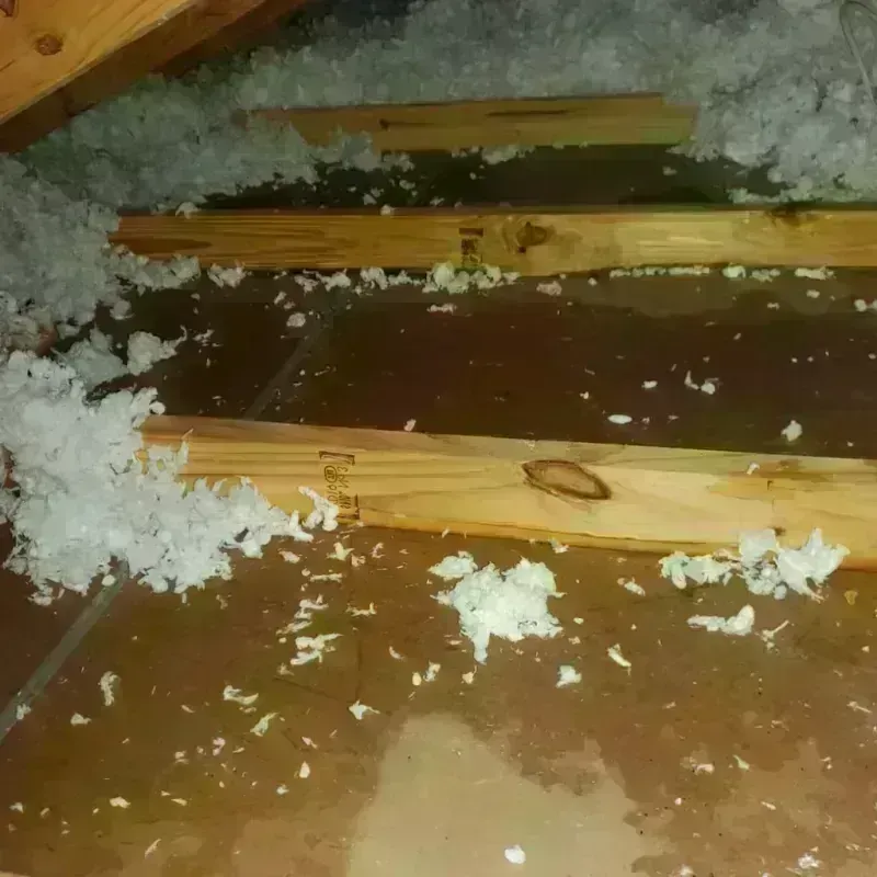 Attic Water Damage in Sandusky, MI