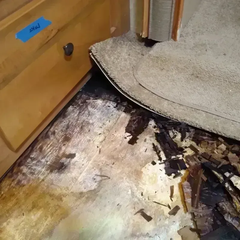 Best Wood Floor Water Damage Service in Sandusky, MI